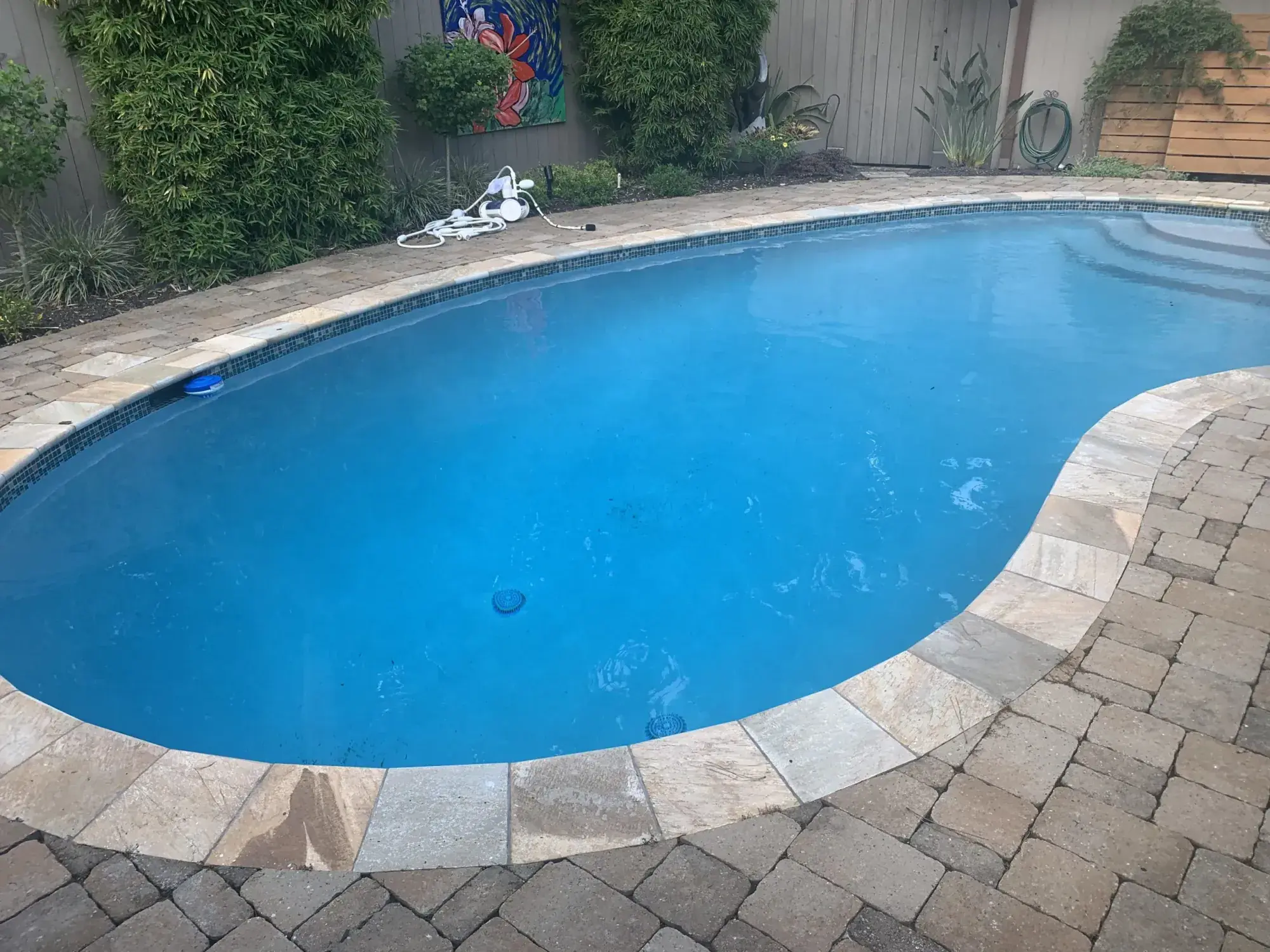 Custom pool project 12 by Venture Pool Company in the Houston area